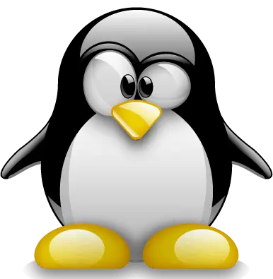 Website Logo