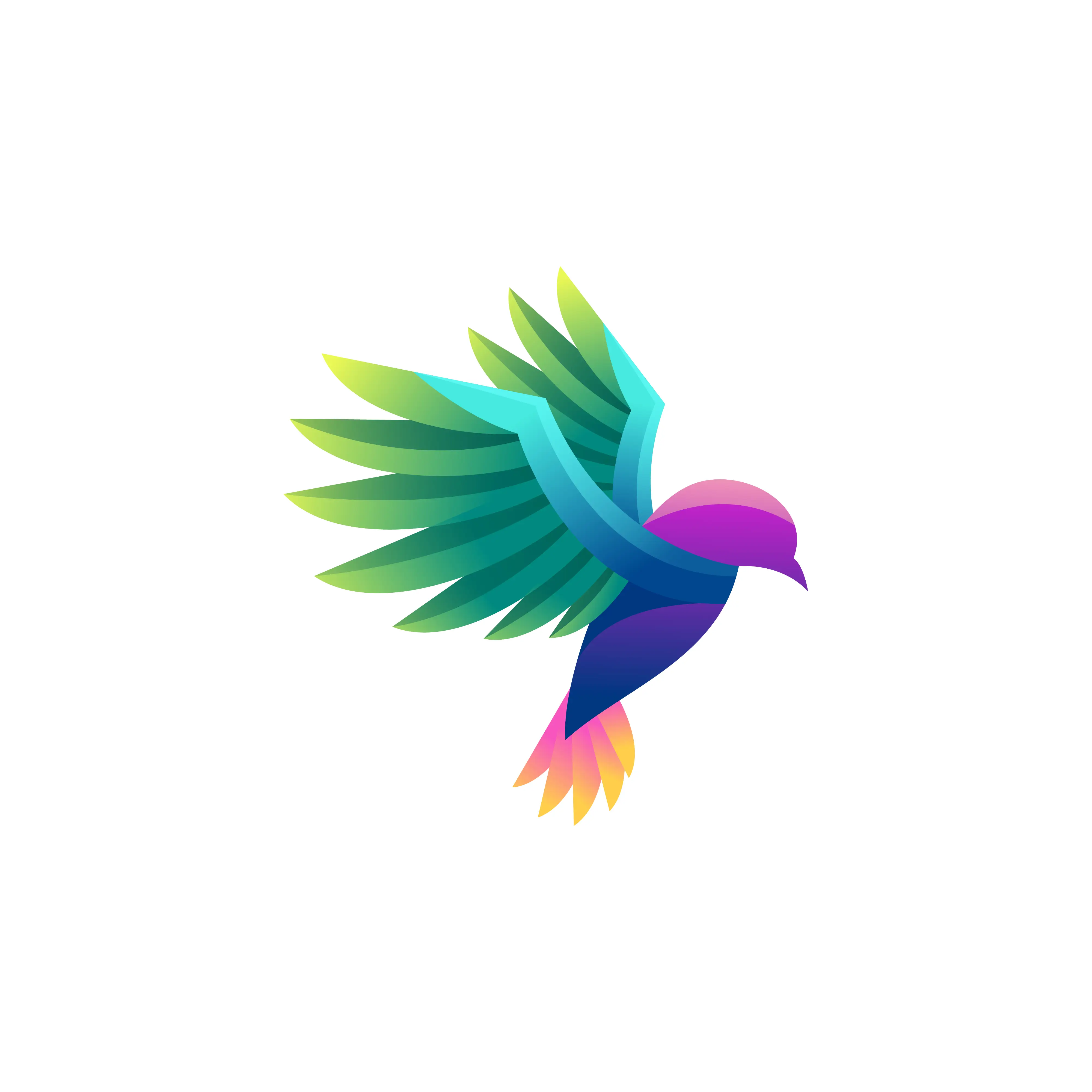 Website Logo